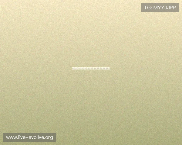 如何顺利完成百家平台登录操作确保账号安全与游戏畅玩